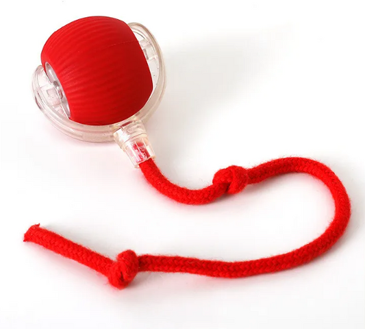 PurrPlay Self-Rolling Cat Toy Ball – automatic self-rolling cat toy ball – Butterfly Parenting Boutique