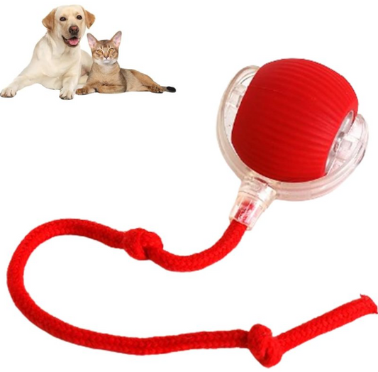 Smart Rolling Pet Ball – automatic rolling interactive pet toy ball – Butterfly Parenting Boutique